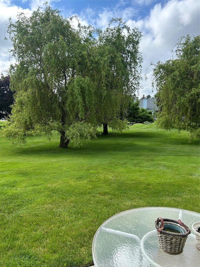 2555 Youngs Unit 7D, Southold, NY 11971 - view of green lawn