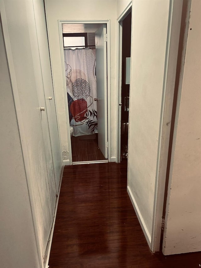 hall featuring dark hardwood / wood-style flooring