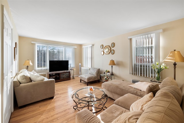 living room with light hardwood / wood-style floors