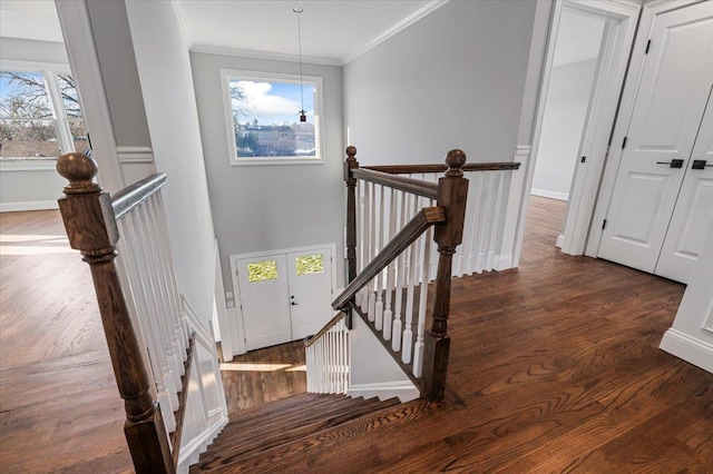 stairs with hardwood / wood-style floors and crown molding