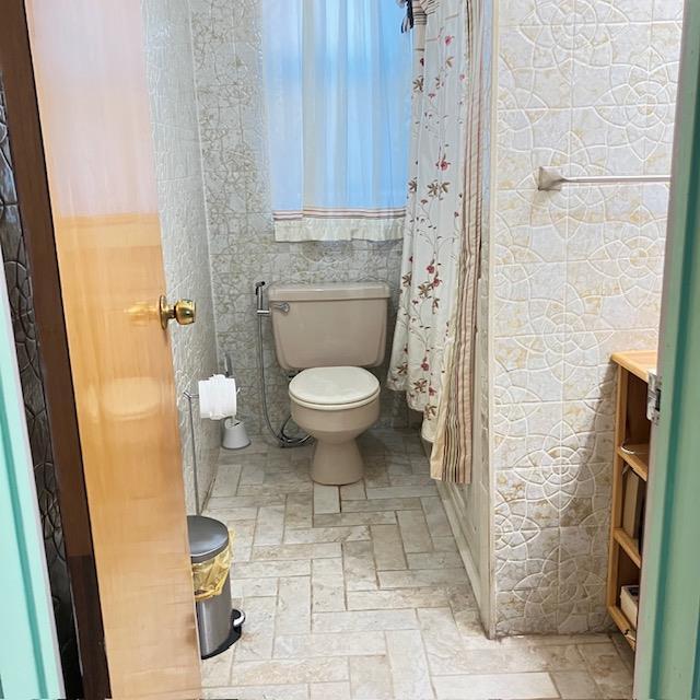 bathroom featuring vanity, toilet, and curtained shower