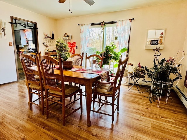 dining area featuring hardwood / wood-style flooring and ceiling fan