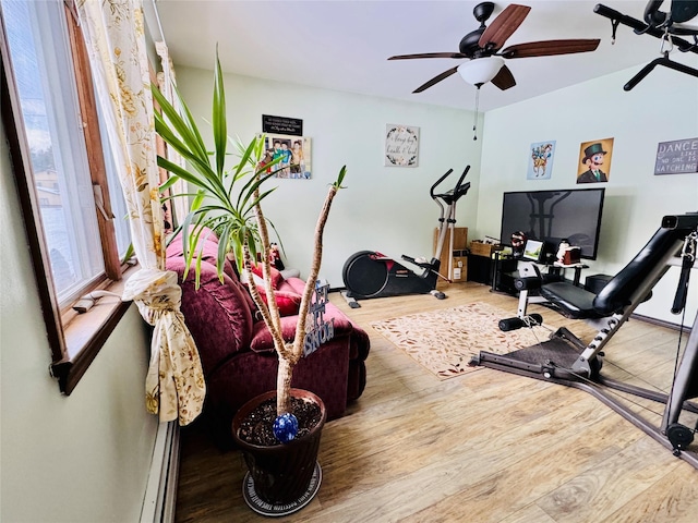 workout room with ceiling fan and wood-type flooring