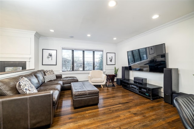 living room featuring crown molding, a fireplace, and dark hardwood / wood-style floors