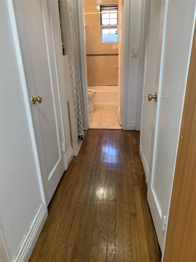 corridor with dark wood-type flooring