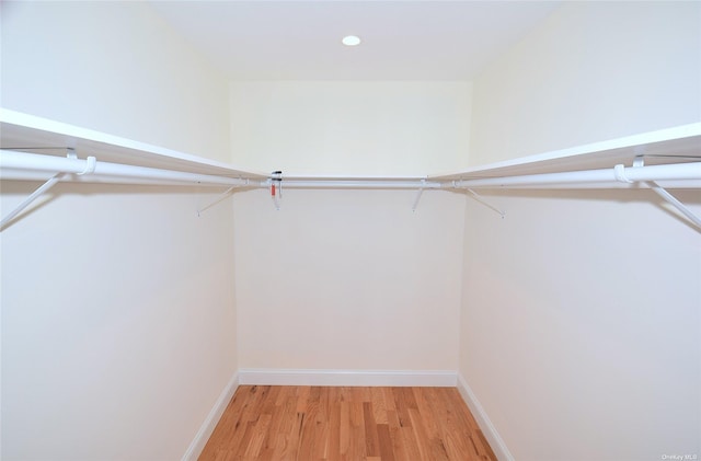 spacious closet featuring light hardwood / wood-style flooring