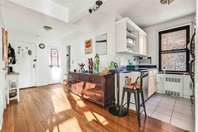 kitchen featuring dishwasher, light hardwood / wood-style floors, radiator heating unit, and sink