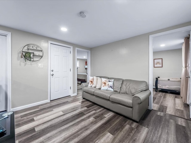 living room with dark wood-type flooring