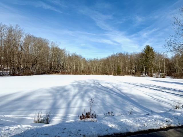 view of snowy yard