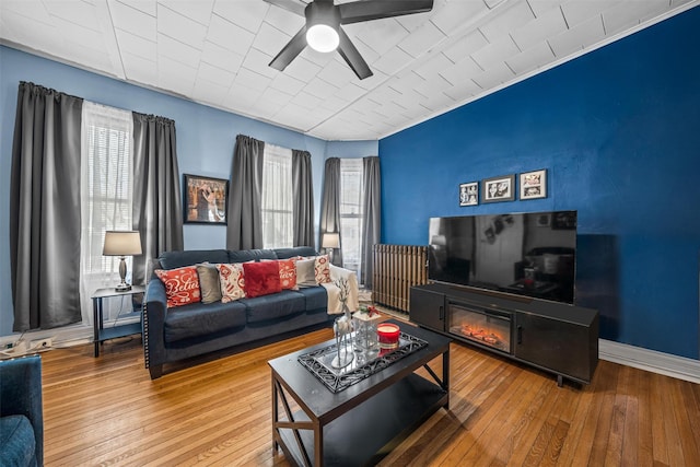 living room featuring plenty of natural light, ceiling fan, wood-type flooring, and radiator