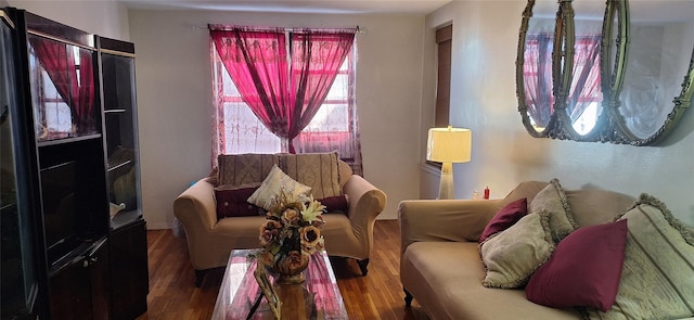 living room featuring hardwood / wood-style floors