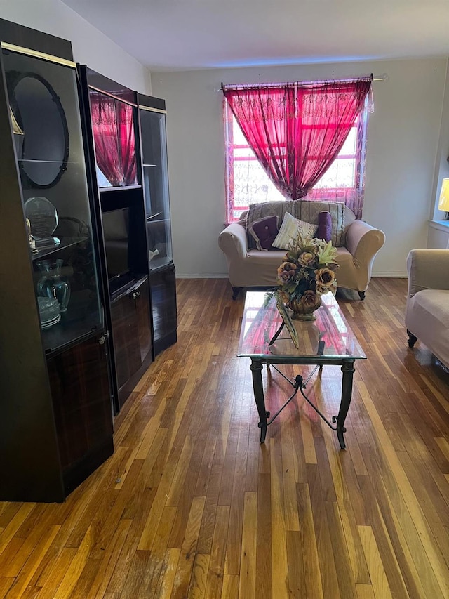 living room with hardwood / wood-style flooring