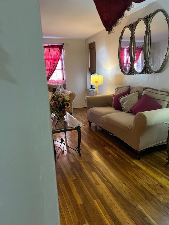 living room with wood-type flooring