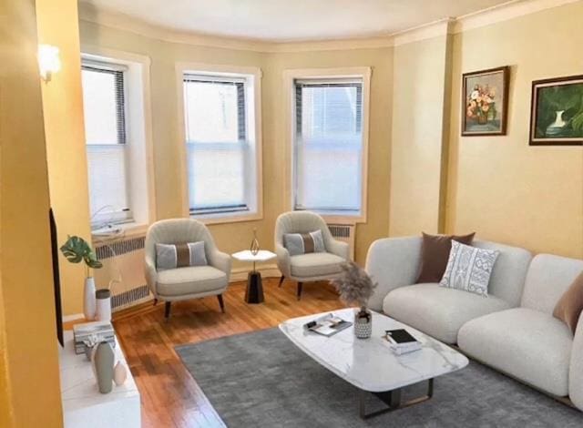 living area featuring crown molding, dark wood-type flooring, and radiator