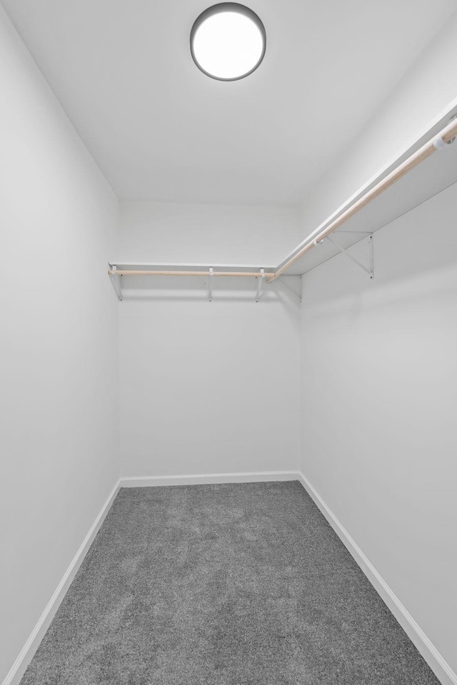 spacious closet with carpet