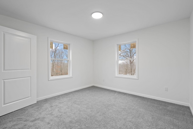 unfurnished room with carpet and a wealth of natural light