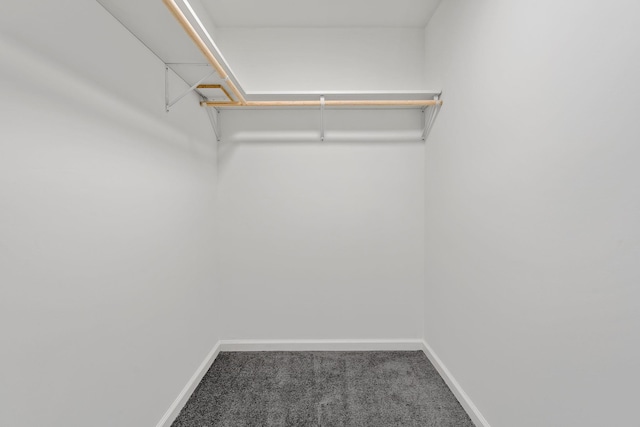 walk in closet with carpet flooring