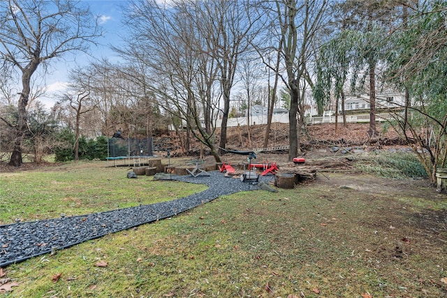 view of yard featuring a trampoline