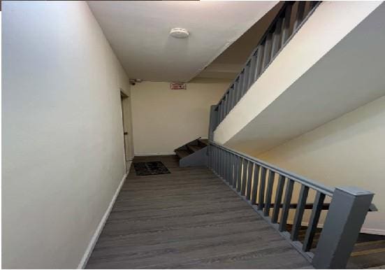 staircase with wood-type flooring