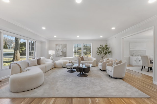 living room featuring crown molding, a healthy amount of sunlight, and light hardwood / wood-style flooring