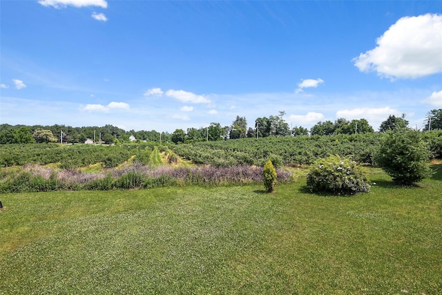 view of yard featuring a rural view