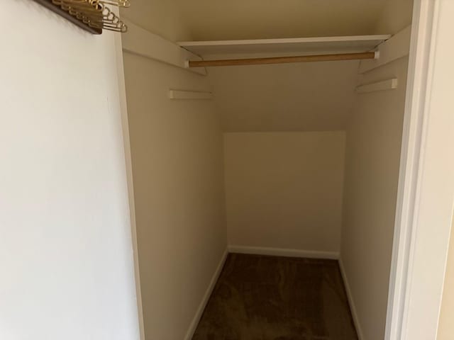 walk in closet with dark colored carpet