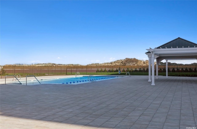 view of pool with a patio