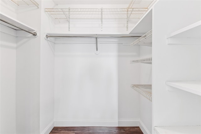 spacious closet featuring dark wood-type flooring