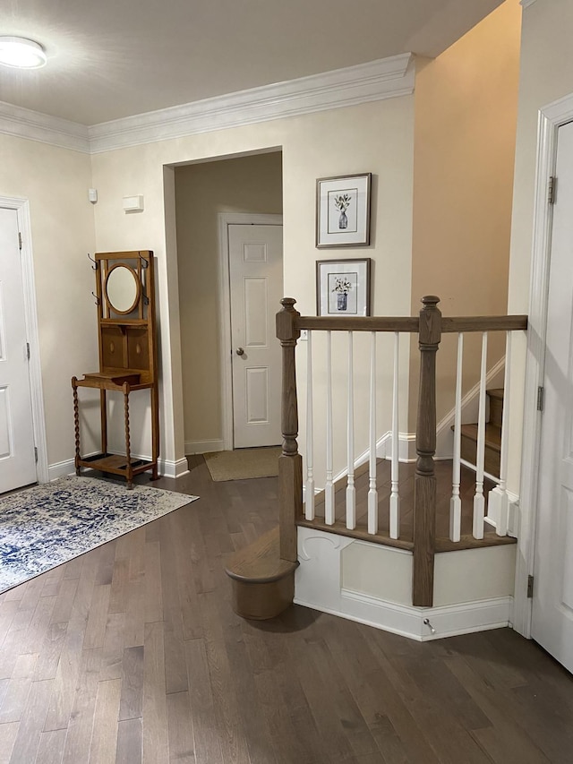 hallway featuring dark hardwood / wood-style floors and crown molding