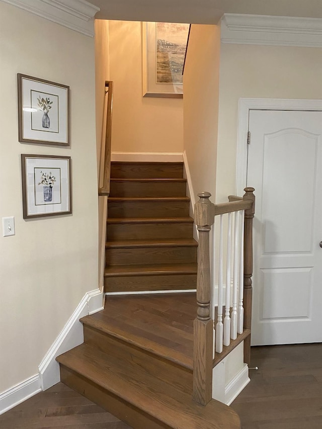 stairs with hardwood / wood-style floors and ornamental molding