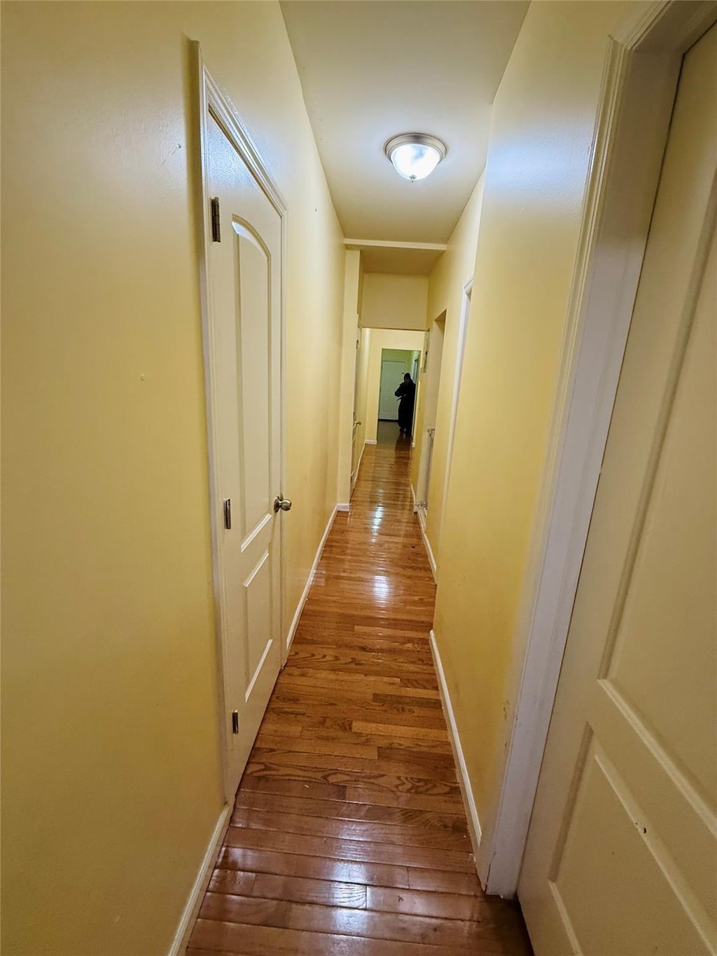 corridor featuring wood-type flooring