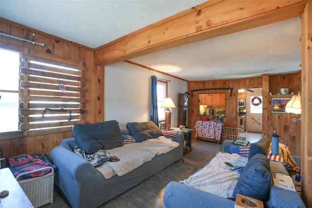 living room with wood walls and crown molding