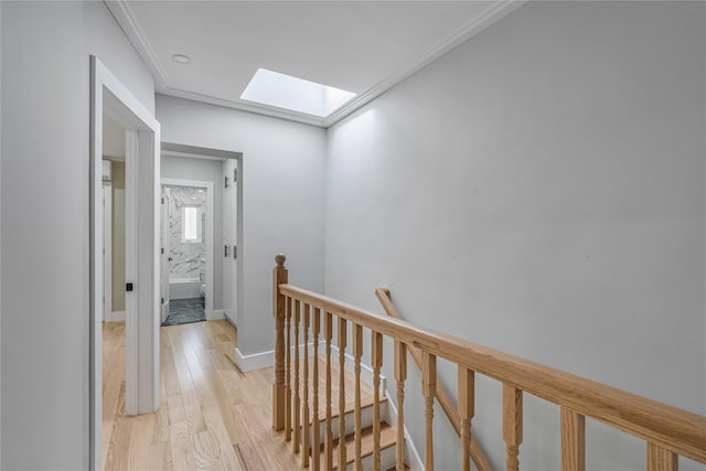 hall featuring light hardwood / wood-style floors and a skylight