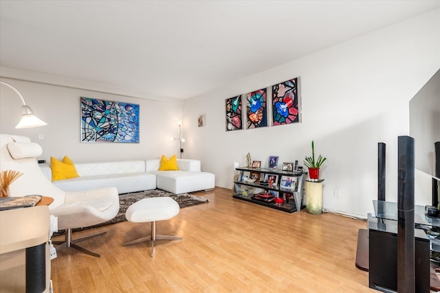 living room with wood-type flooring