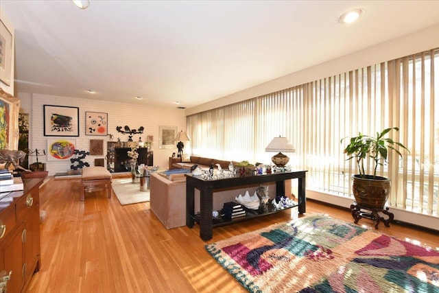 living room featuring light hardwood / wood-style floors