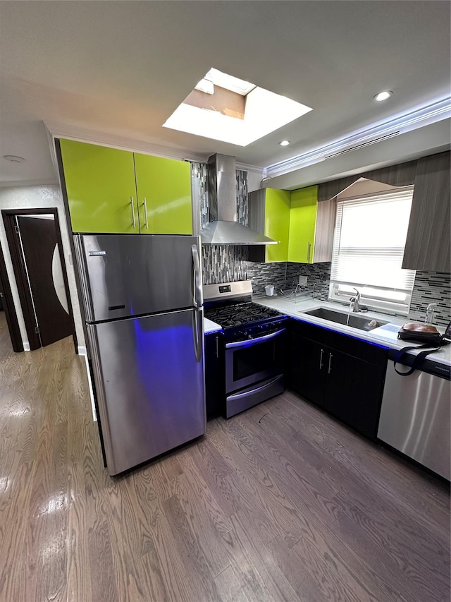 kitchen with tasteful backsplash, a skylight, stainless steel appliances, sink, and range hood