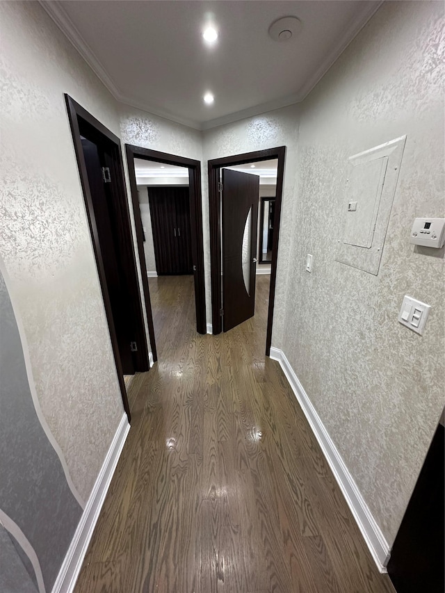 hall with dark hardwood / wood-style floors and crown molding