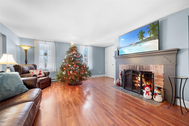 living room with a fireplace and hardwood / wood-style floors