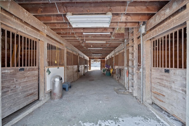 view of horse barn