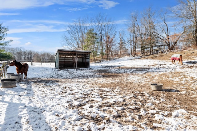 yard covered in snow with an outbuilding