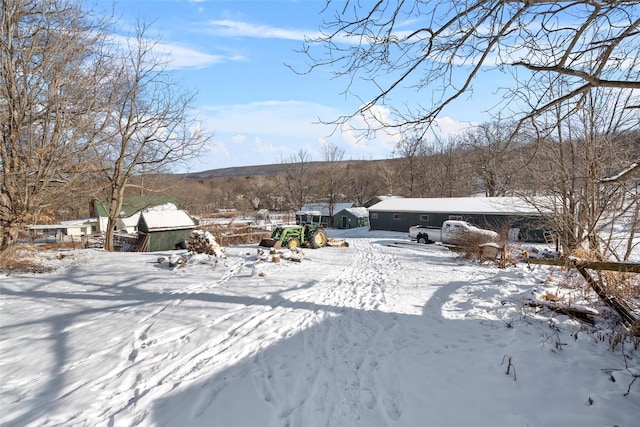 view of snowy yard