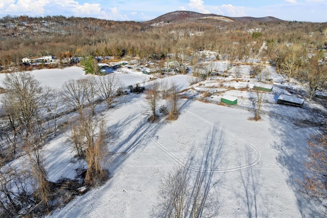 snowy aerial view featuring a mountain view