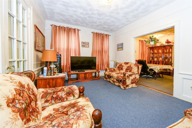 carpeted living room with radiator