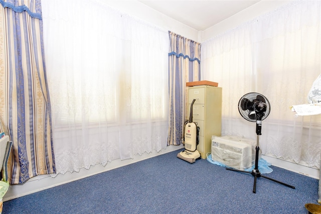 workout area featuring carpet floors