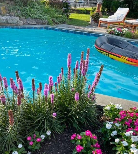 24 The Keel, East Islip, NY 11730 - view of pool