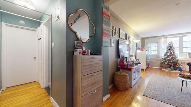 hallway featuring light wood-type flooring and radiator