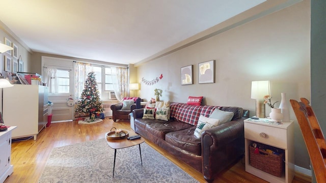 living room with crown molding and light hardwood / wood-style floors