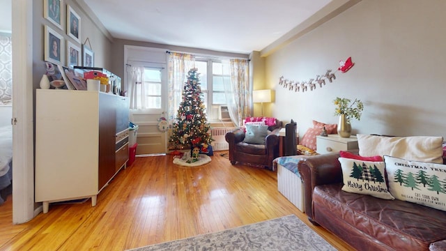 living room featuring light wood-type flooring