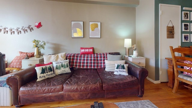 living room featuring wood-type flooring