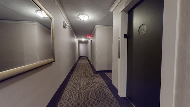 hallway featuring ornamental molding and elevator